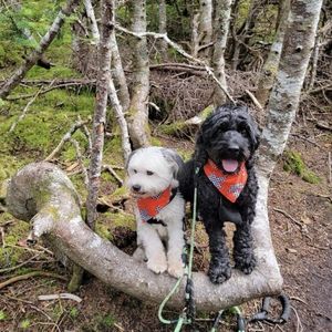 Meet your Posher, Marizona